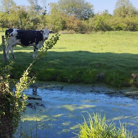 Charmante Maison De Campagne, Avec Jardin, Vue Riviere, 15 Min Cabourg Basseneville Extérieur photo